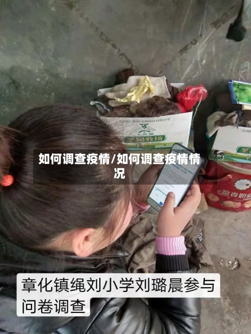 如何调查疫情/如何调查疫情情况