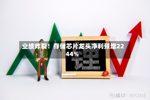 业绩炸裂！存储芯片龙头净利预增2244%