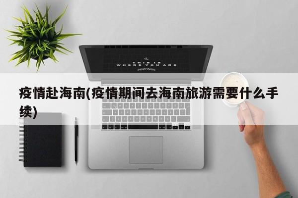 疫情赴海南(疫情期间去海南旅游需要什么手续)